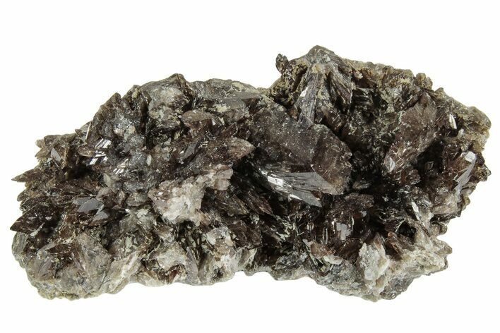 Lustrous Axinite Crystal Cluster - Dalnegorsk, Russia #239604